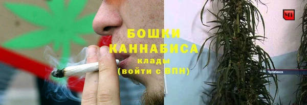 прущие крисы Вяземский