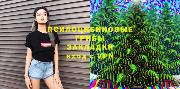 прущие крисы Вяземский